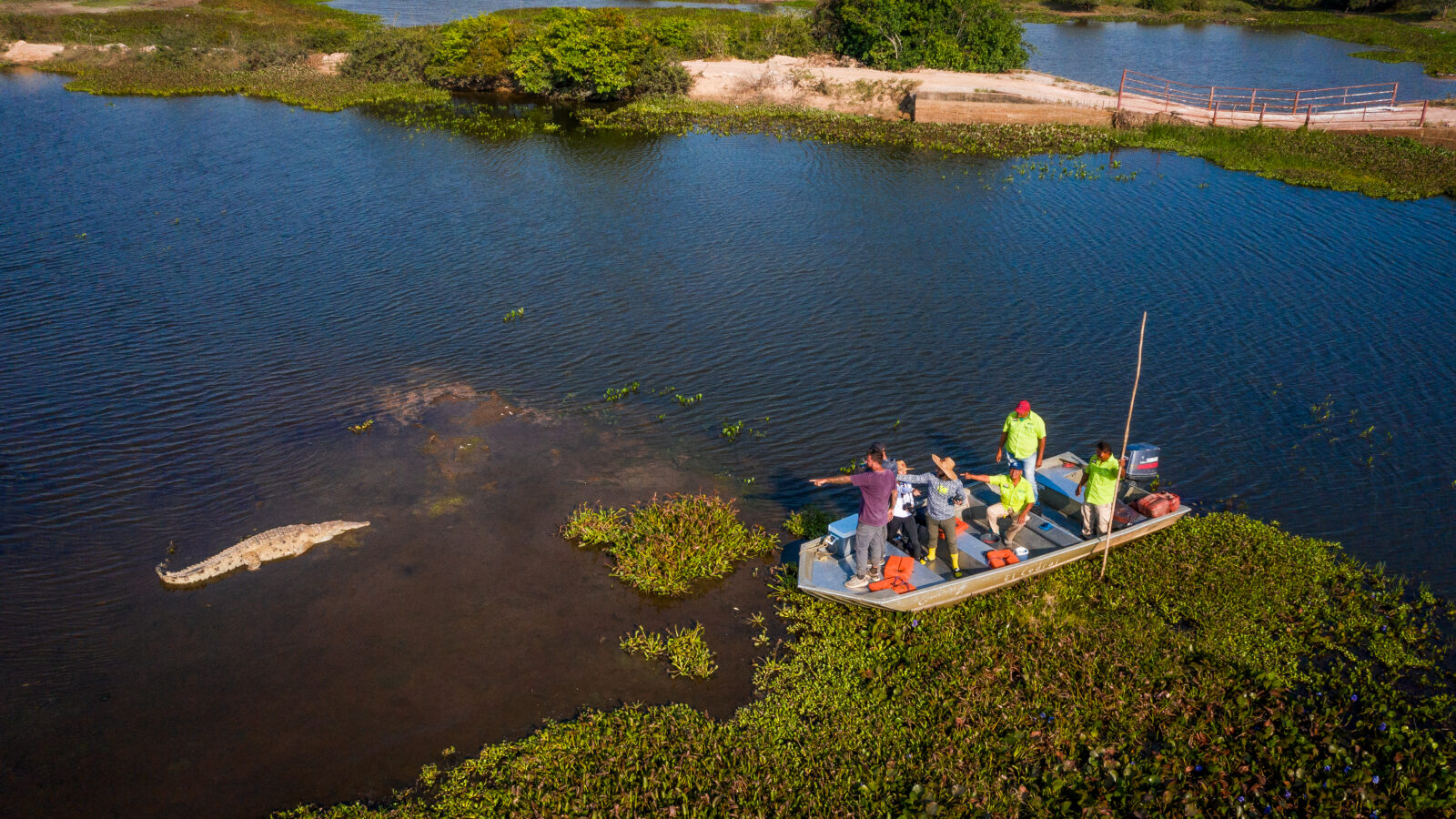 Module — Llanos wildlife safari