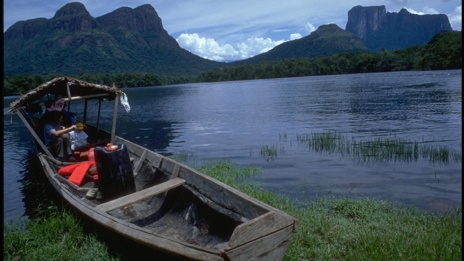 Module — Amazonas & Cerro Autana