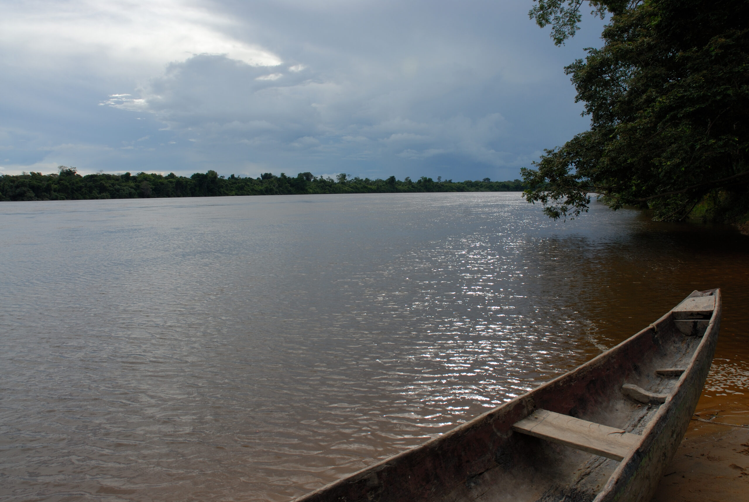 Caura river