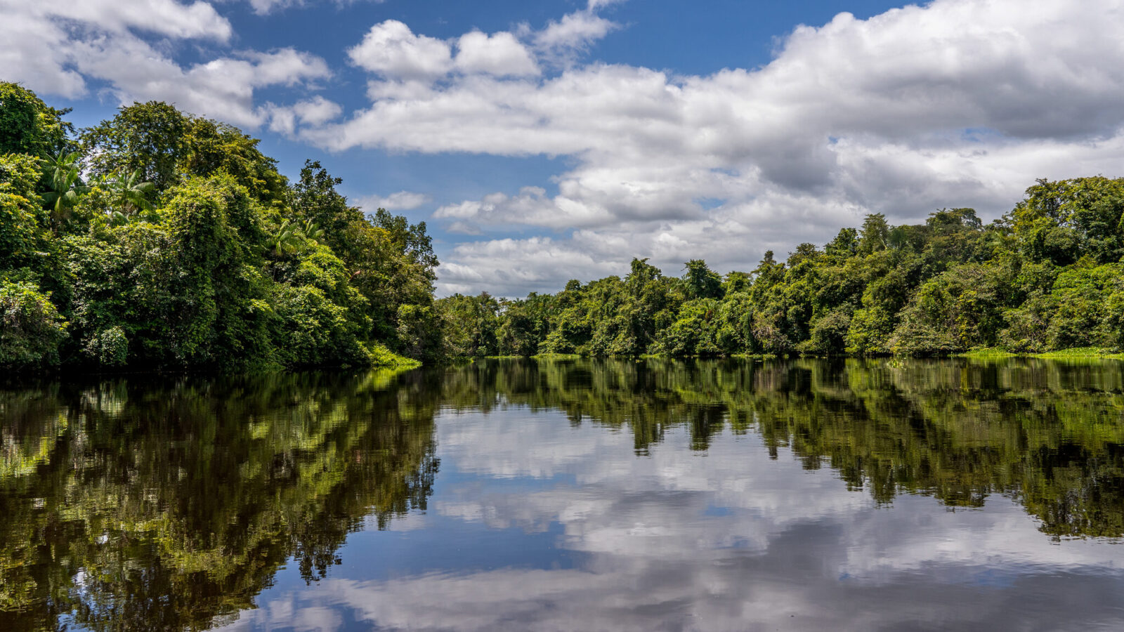 Module — Orinoco Delta